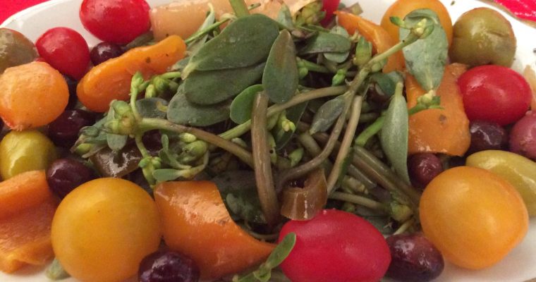 Pourpier en salade (Rdjila)
