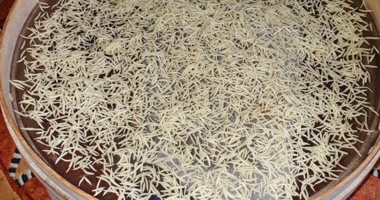 Mqatfa -Dwida-Gritliya (vermicelles algériennes faites maison)